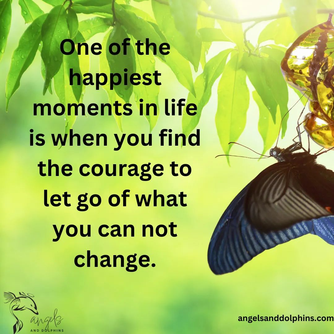 <One of the happiest moments in life is when you find the courage to let go of what you can not change.> affirmation