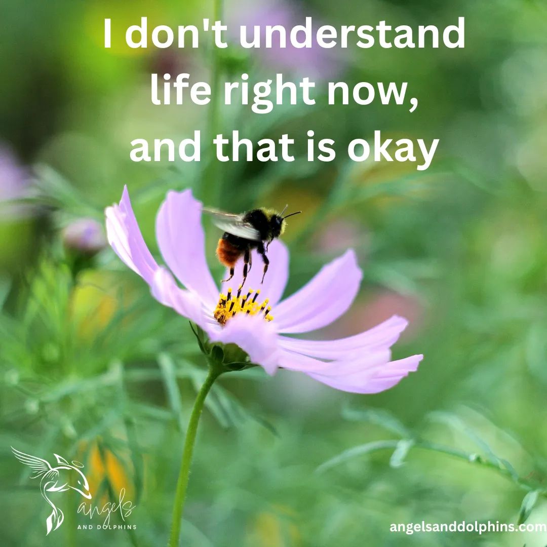 <I don't understand life right now, and that is okay> affirmation