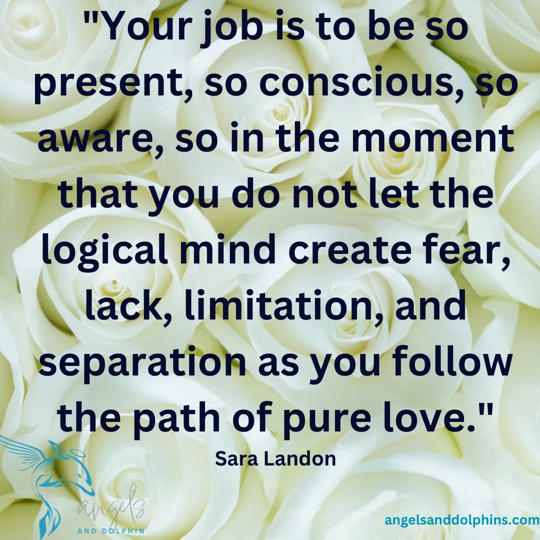 <Your job is to be so present, so conscious, so aware, so in the moment that you do not let the logical mind create fear, lack, limitation, and separation as you follow the path of pure love> affirmation