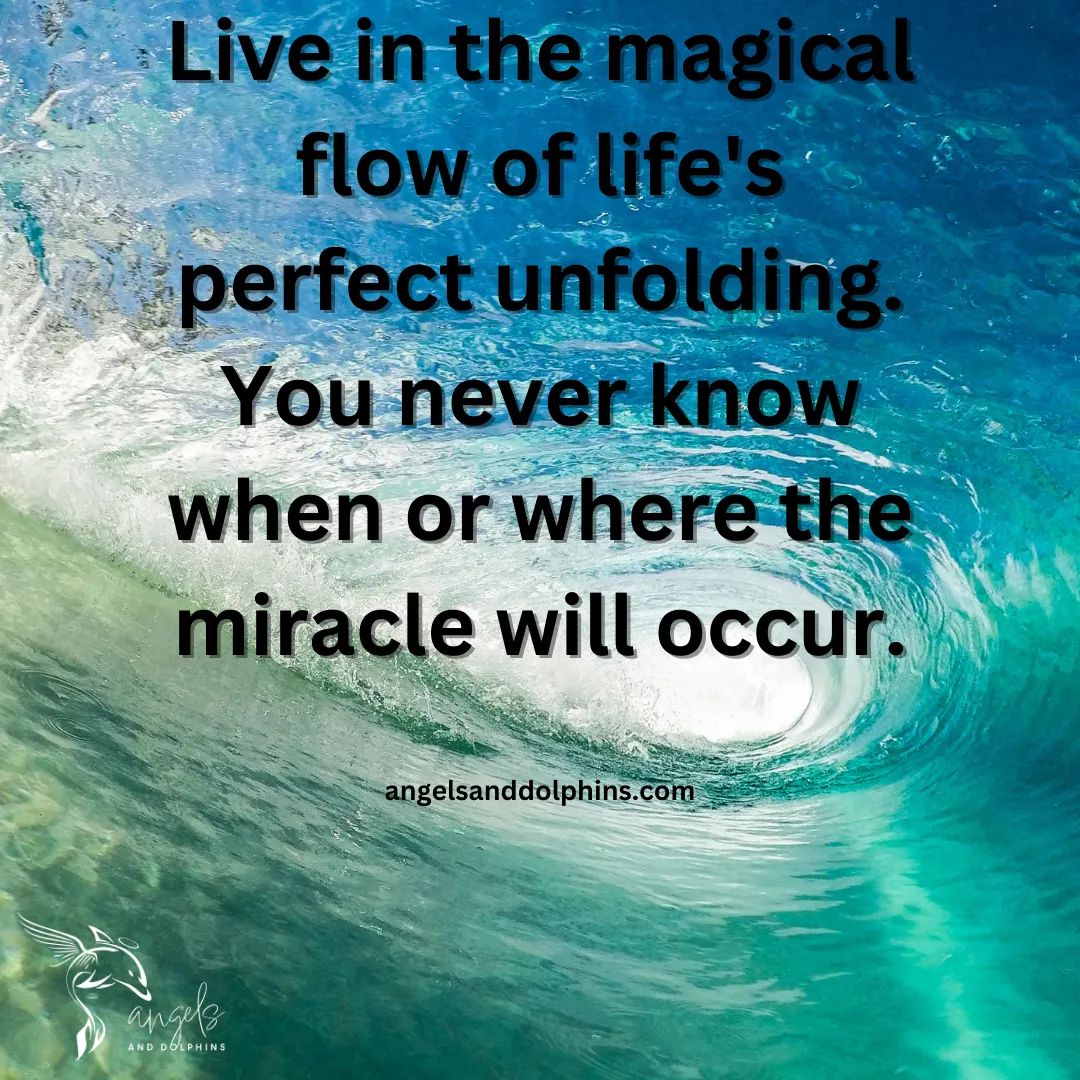 <Live in the magical flow of life's perfect unfolding. You never know when or where the miracle will occur.> affirmation