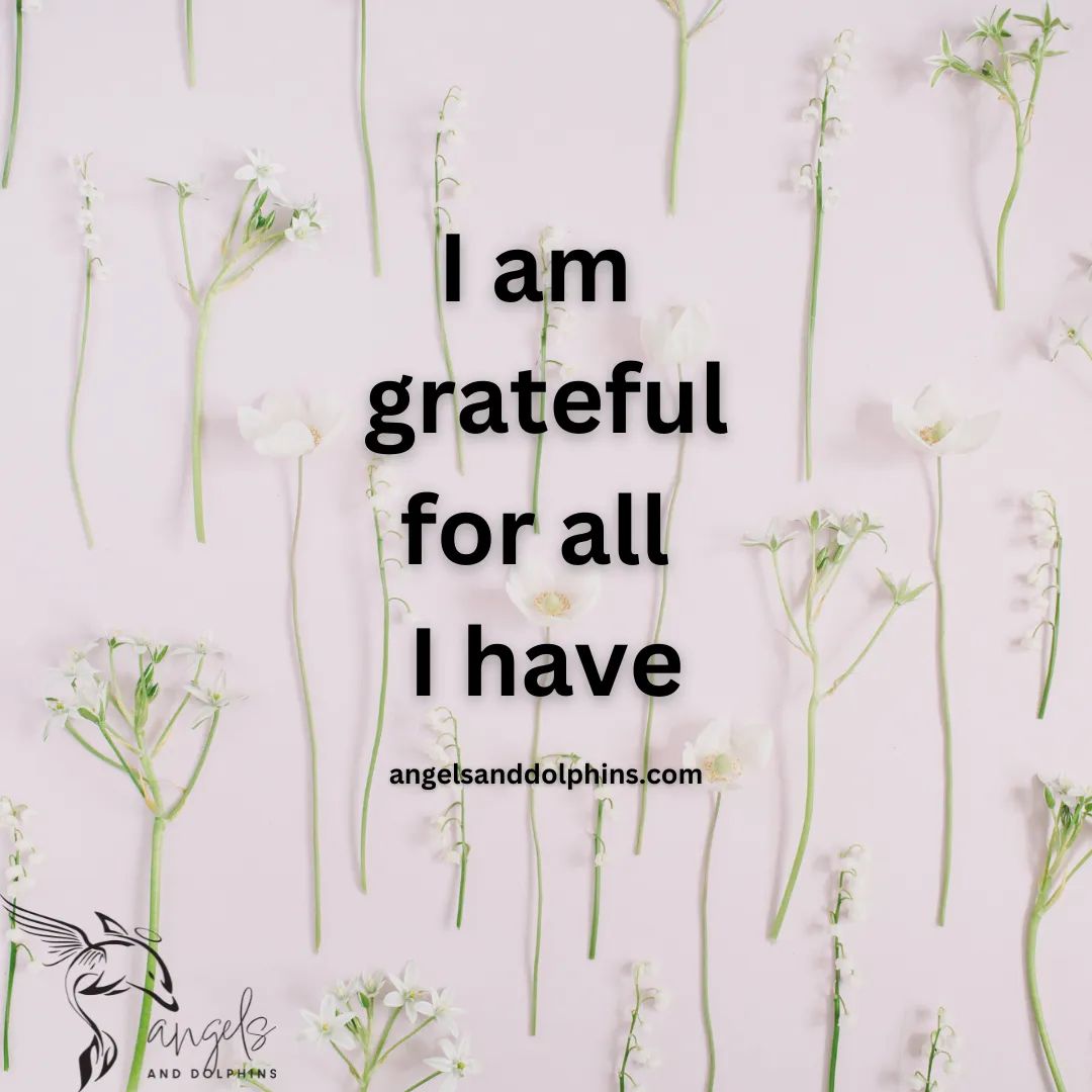 <I am grateful for all I have> affirmation