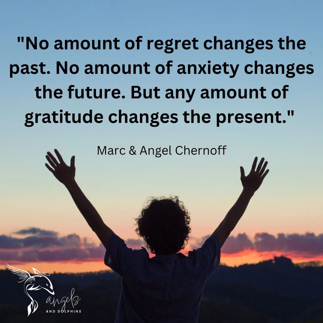 <No amount of regret changes the past. No amount of anxiety changes the future. But any amount of gratitude changes the present.> affirmation