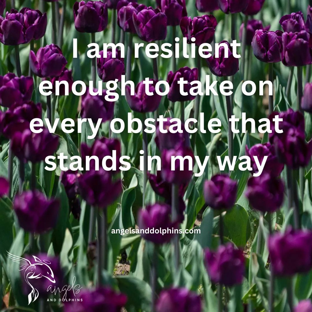 <I am resilient enough to take on every obstacle that stands in my way> affirmation