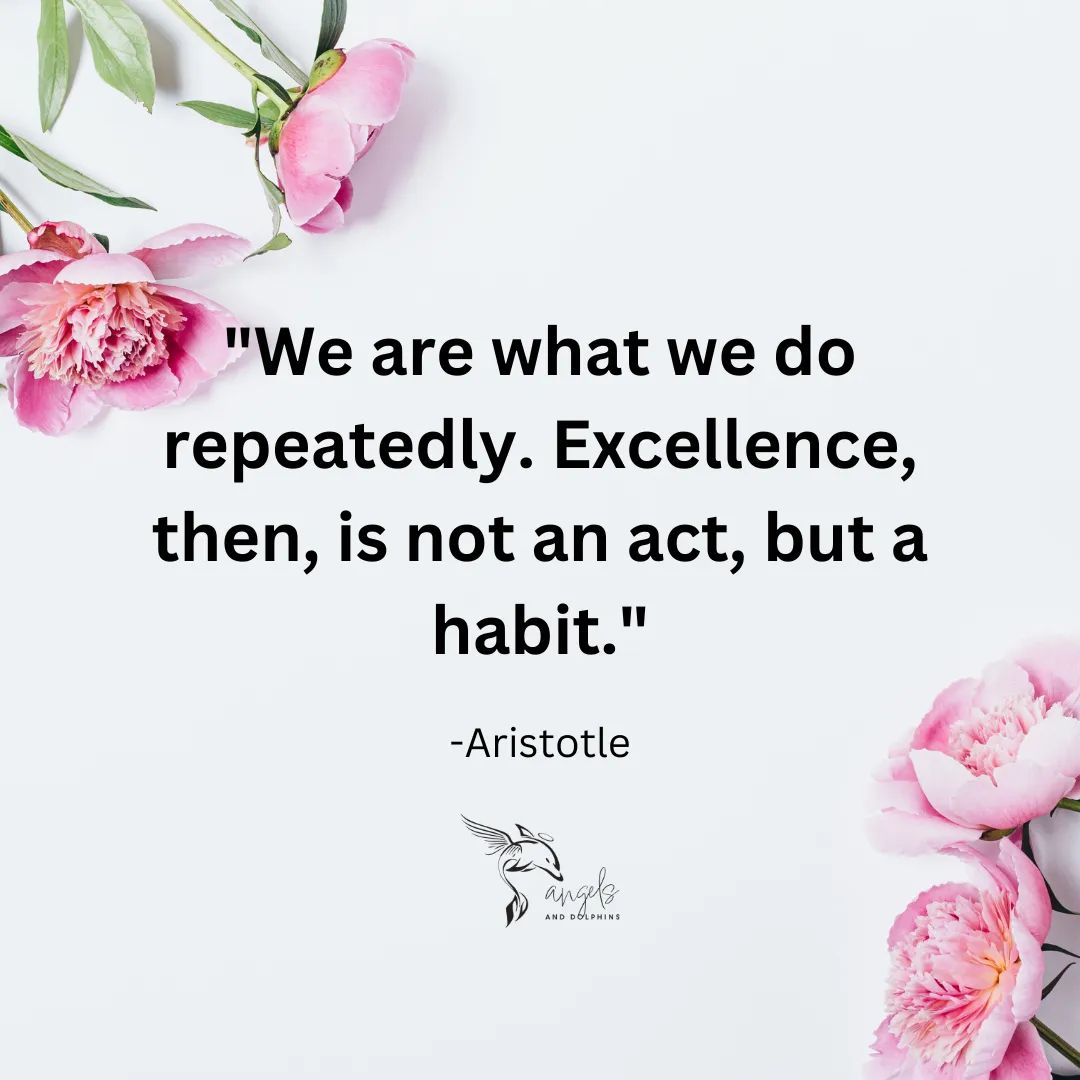 <We are what we do repeatedly. Excellence, then, is not an act, but a habit.>affirmation